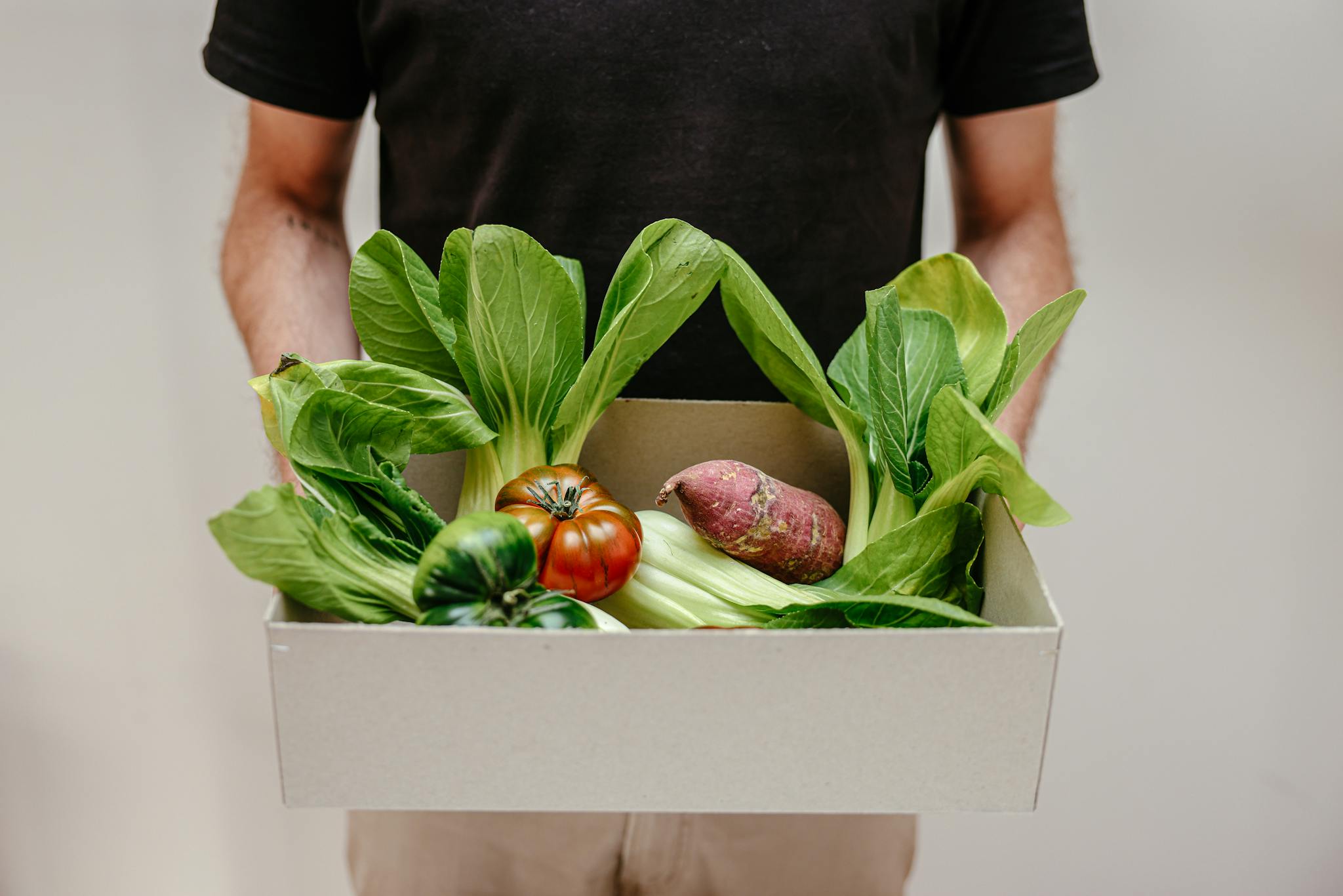 Close-up of a person holding a cardboard box with assorted fresh vegetables like bok choy and tomato.