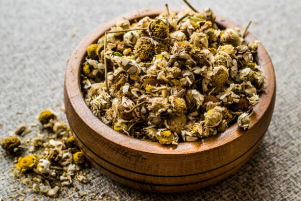 Dried camomile flower tea in wooden bowl (papatya bobune). organic concept.