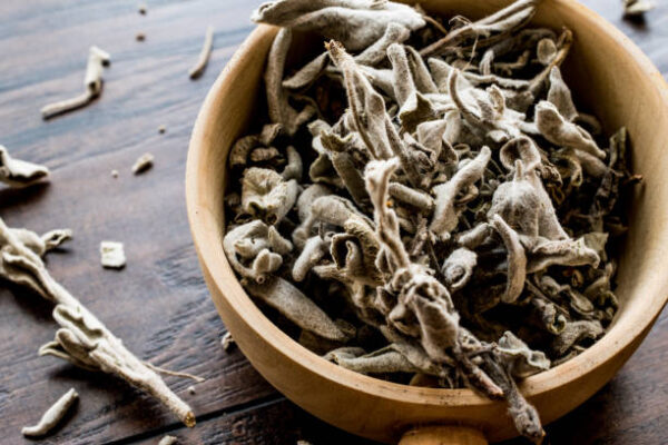 Dry sage tea in wooden ladle . organic food.